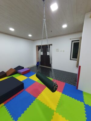 Bolster Swing - Image 3